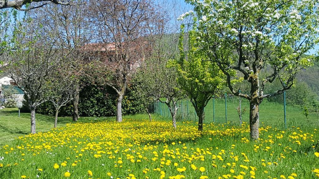 Villa San Giorgio Pellio Superiore Esterno foto